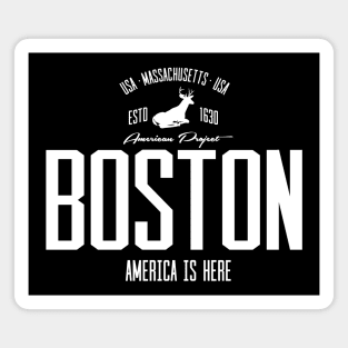 USA, America, Boston, Massachusetts Magnet